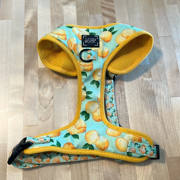 sassy woof Other - Sassy Woof Lemon Dog Harness (attach a leash), Size Large